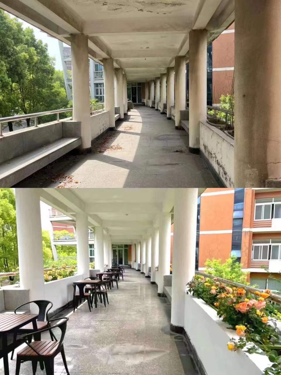 鈥滃挅鍟?鈥濇牎鍥叕鍏辨枃鍖栫┖闂磋蛋寤? vsbhref=